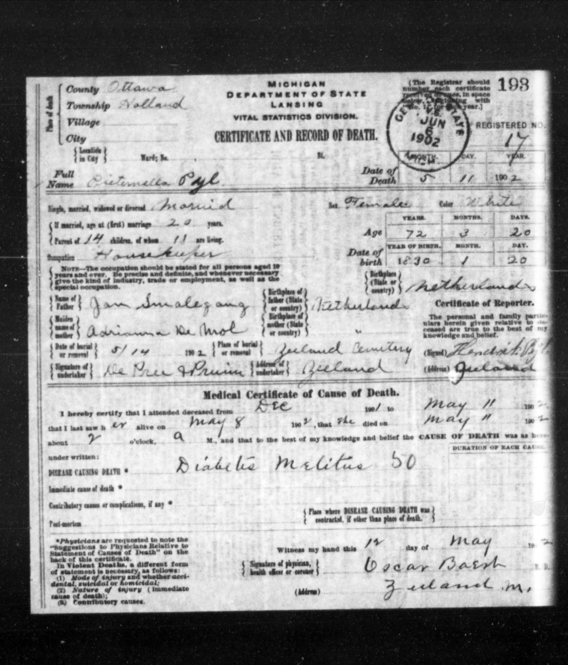 Michigan death certificate of Pieternella Pyl (Smallegange), Holland Township, Ottawa County, 1902